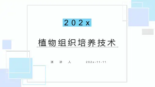 植物组织培养技术PPT模板