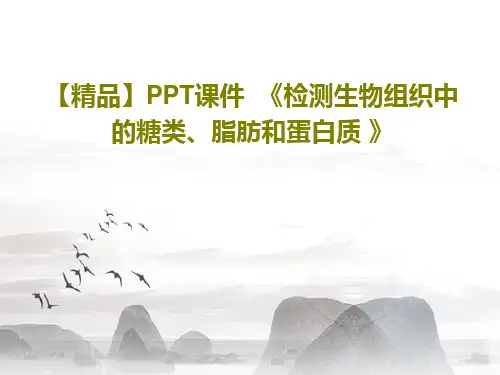 【精品】PPT课件  《检测生物组织中的糖类、脂肪和蛋白质 》共23页文档