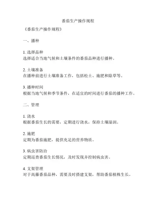 番茄生产操作规程