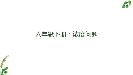 人教版六年级下册数学浓度问题(课件)