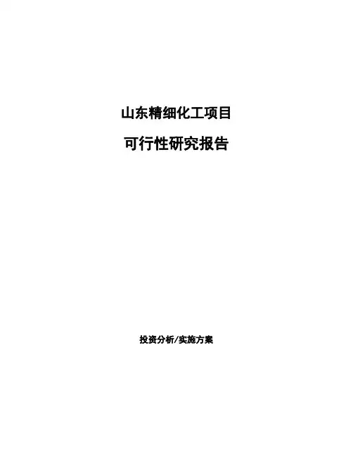 山东精细化工项目可行性研究报告