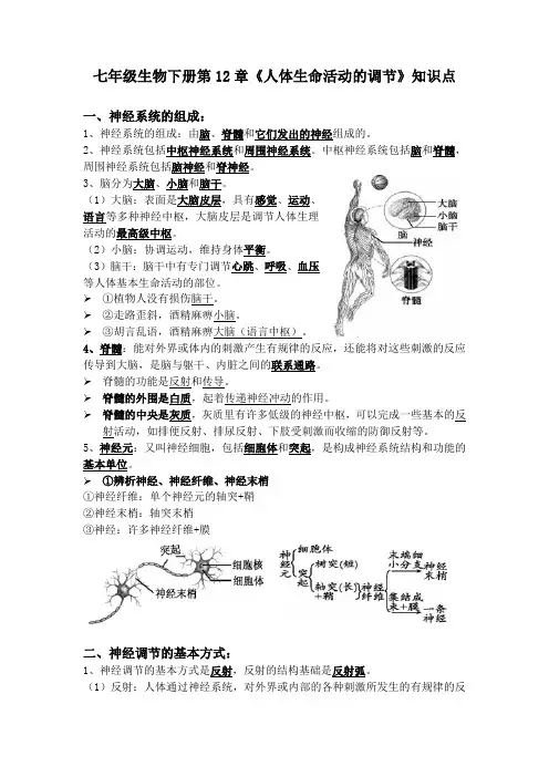 七年级生物下册第12章《人体生命活动的调节》知识点