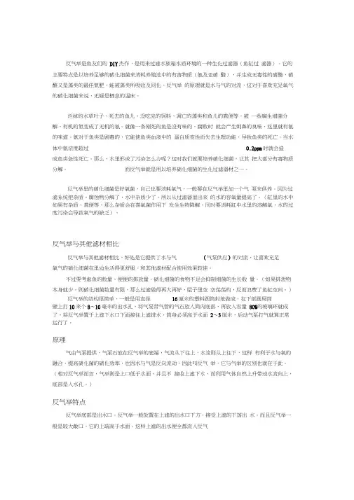 反气举的原理和制作全攻略word精品