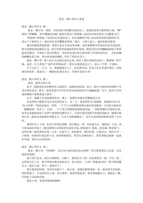 我是一棵小草作文9篇
