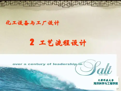 2工艺流程设计-80页精选文档