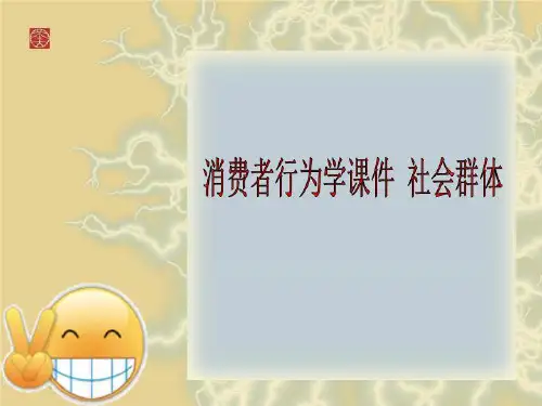 消费者行为学课件 社会群体