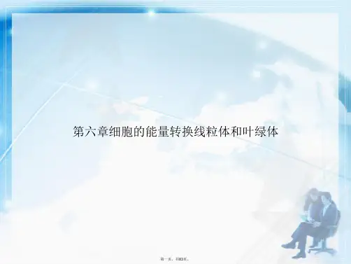 第六章细胞的能量转换线粒体和叶绿体讲课文档