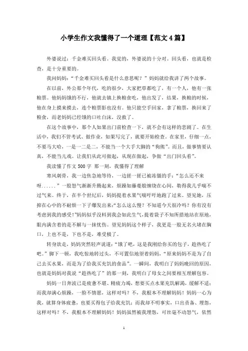 精选小学生作文我懂得了一个道理【范文4篇】