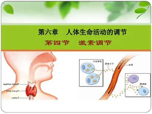 人教版生物七年级下册：4.6.4 激素调节 课件 (共47张PPT)