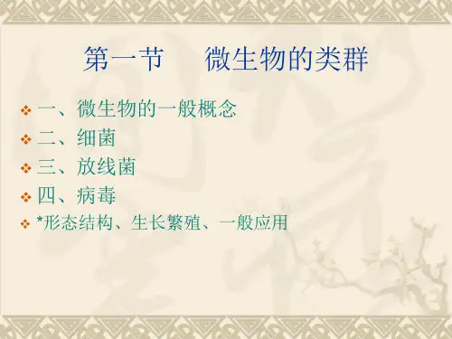 微生物与发酵工程(课件)(ppt)