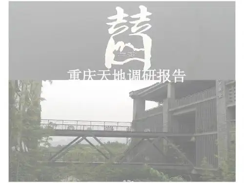 重庆天地调研报告