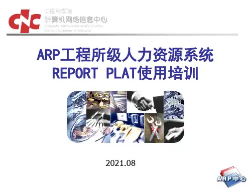 ARP项目所级人力资源系统REPORTPLAT使用培训