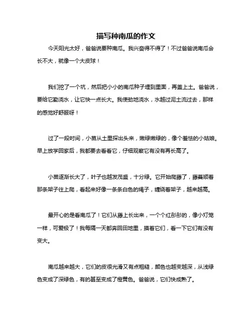 描写种南瓜的作文