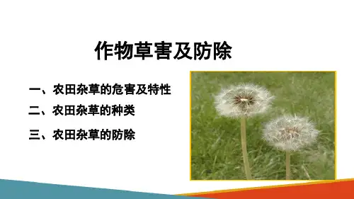 植物保护技术—作物草害与防治