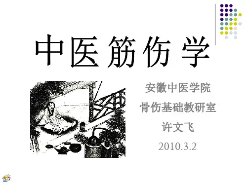 中医筋伤学精PPT课件