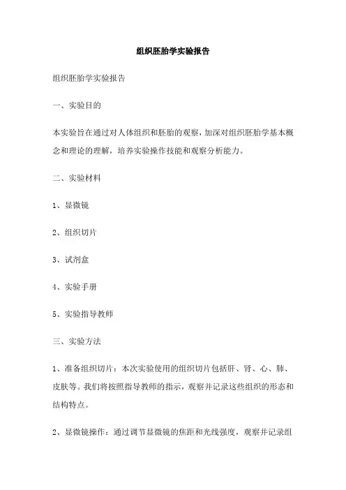 组织胚胎学实验报告