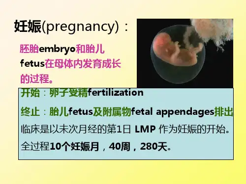 四步触诊法妊娠图pregnogram