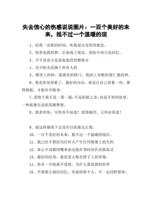 失去信心的伤感说说图片：一百个美好的未来,抵不过一个温暖的现