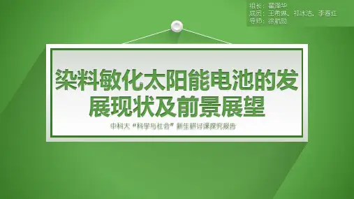 染料敏化太阳能电池