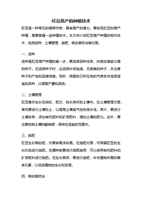 豇豆高产的种植技术