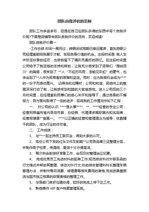 团队自我评价的范例