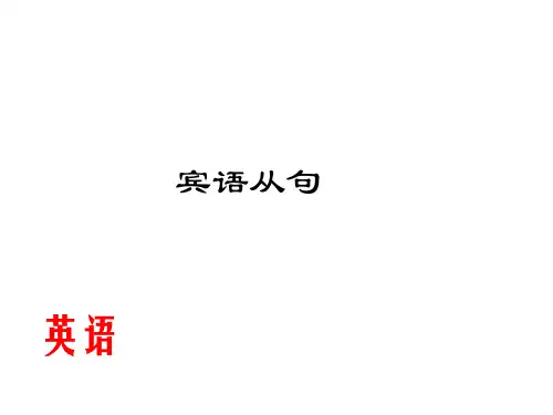 宾语从句(5)
