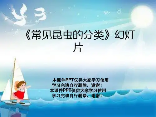 《常见昆虫的分类》幻灯片