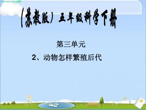 动物怎样繁殖后代