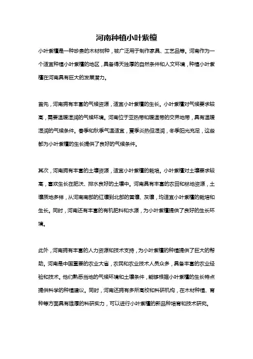 河南种植小叶紫檀