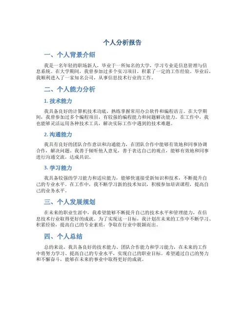 个人分析报告