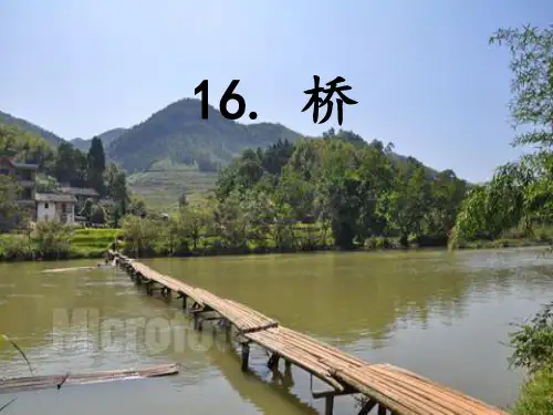 《桥》PPT课件
