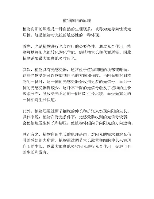 植物向阳的原理