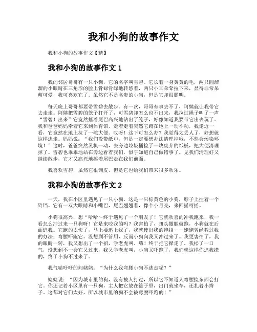我和小狗的故事作文