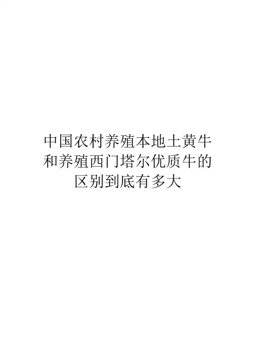 中国农村养殖本地土黄牛和养殖西门塔尔优质牛的区别到底有多大