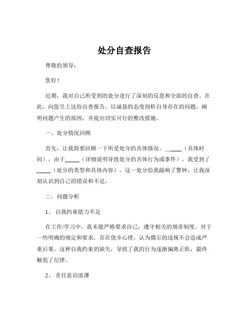 处分自查报告
