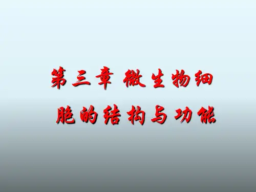 微生物细胞的结构与功能