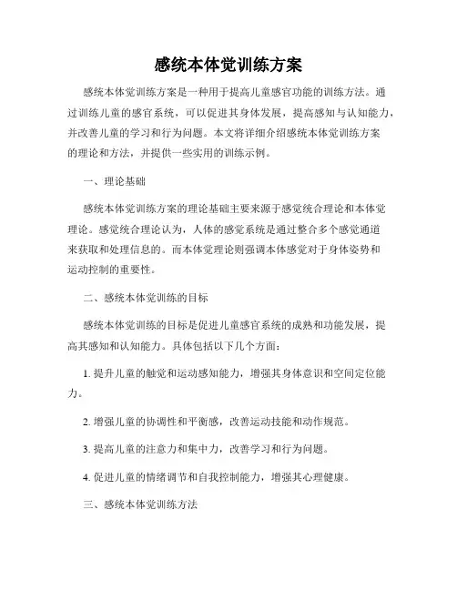感统本体觉训练方案