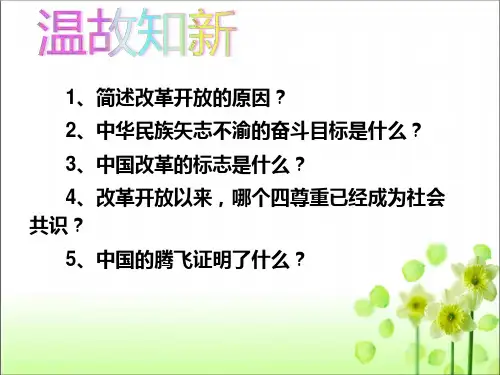 人教版九年级道德与法治上册1.2走向共同富裕ppt精品课件