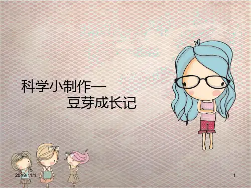 豆芽成长记PPT课件