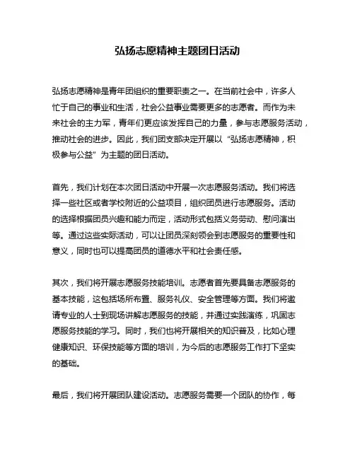 弘扬志愿精神主题团日活动