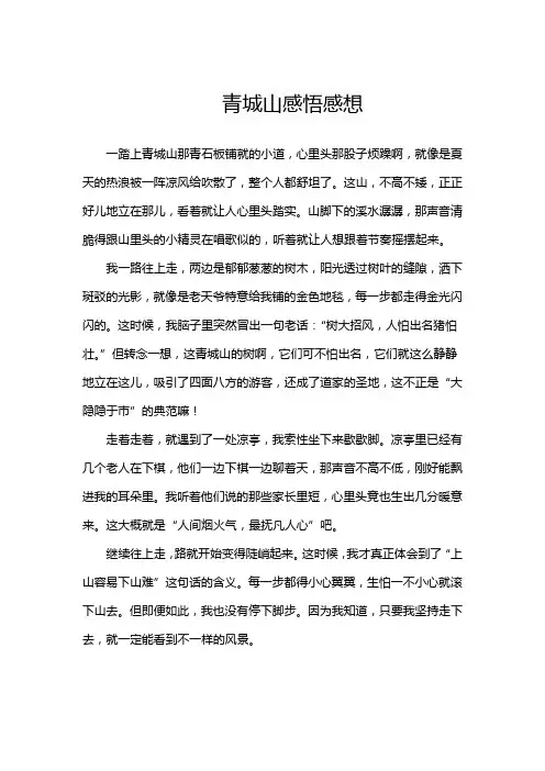 青城山感悟感想