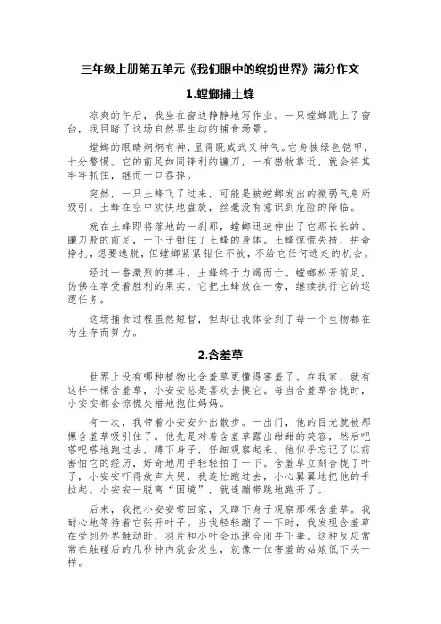 三年级上册第五单元《我们眼中的缤纷世界》满分作文(精选五篇)