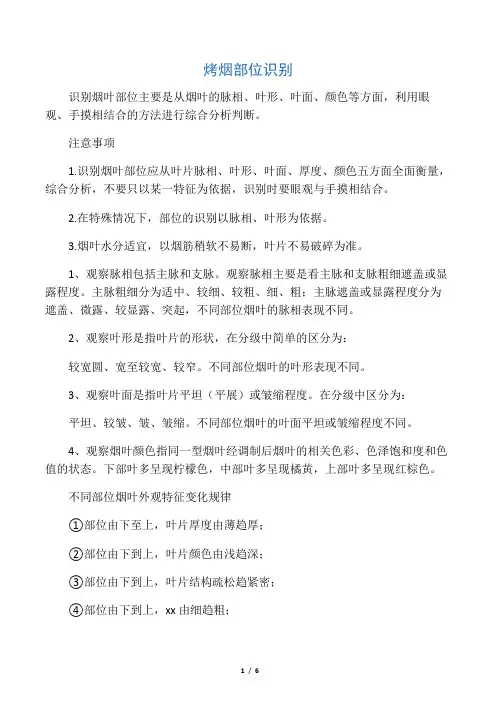 烤烟分级基础知识