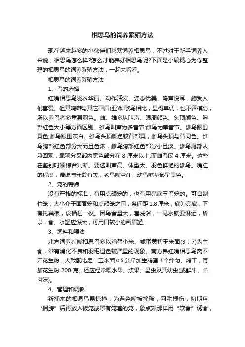 相思鸟的饲养繁殖方法