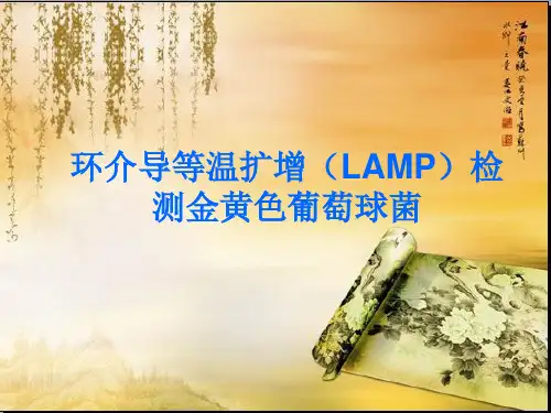 环介导等温扩增技术