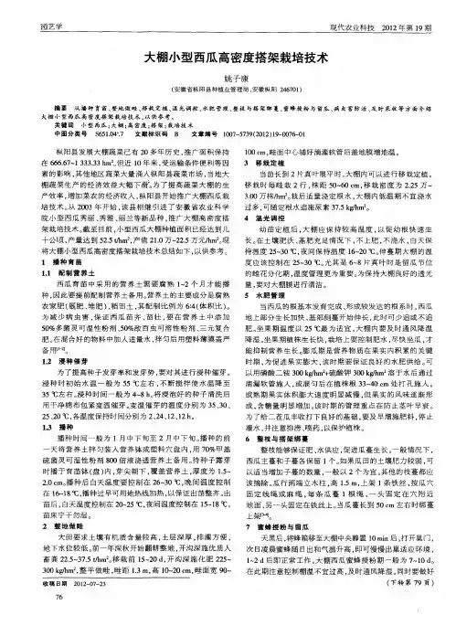 大棚小型西瓜高密度搭架栽培技术