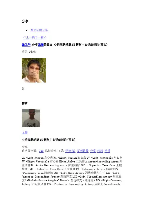 心脏冠状动脉CT解剖中文详细标注(图文)