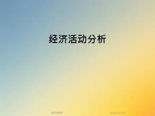 经济活动分析课件