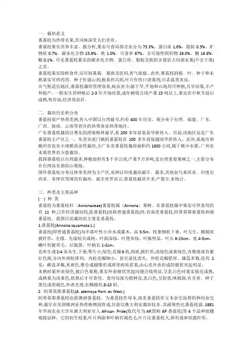 番荔枝栽培技术