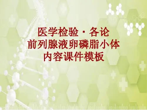 医学检验·检查项目：前列腺液卵磷脂小体_课件模板